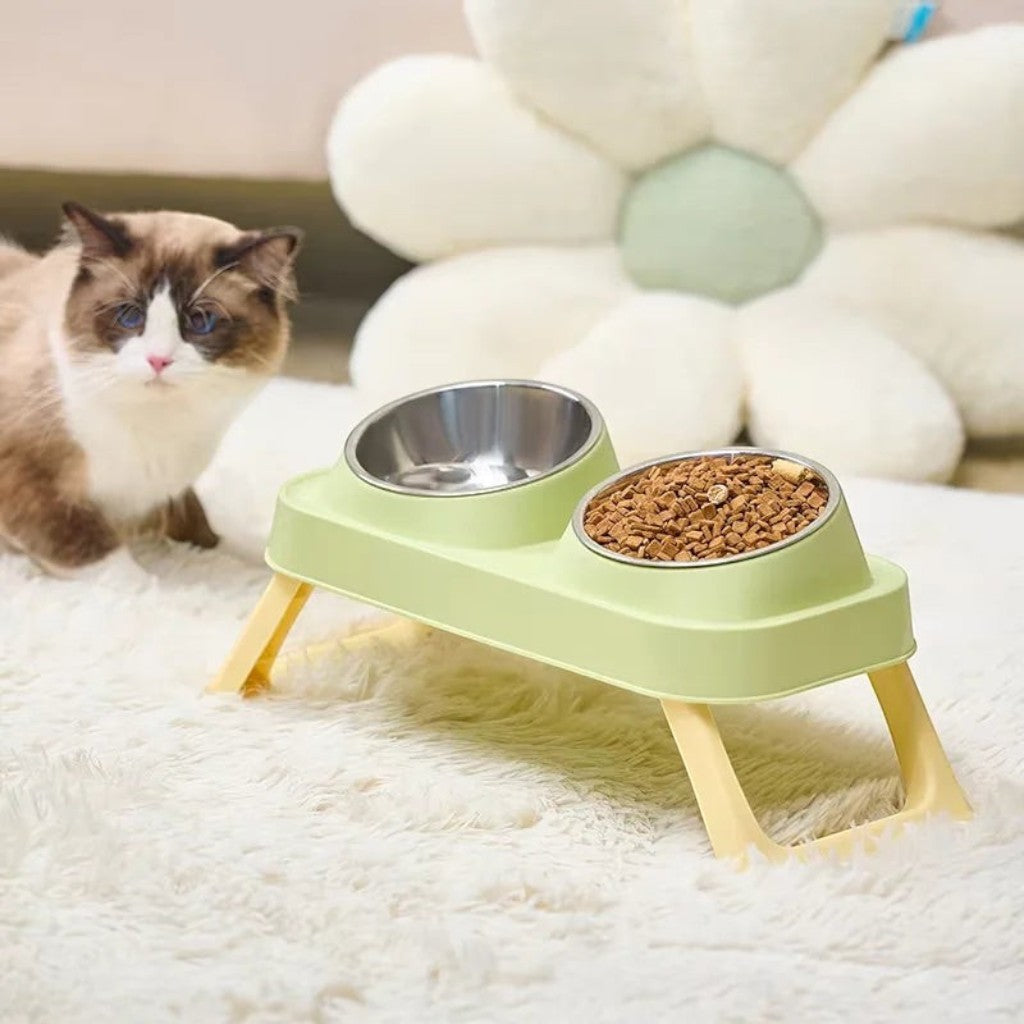 Gamelle double surélevée Esprit Chat en acier inoxydable vert avec un chat Ragdoll à côté