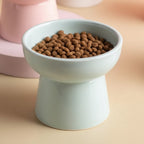 Gamelle surélevée pour chat Esprit Chat en céramique bleu pastel remplie de croquettes sur fond beige