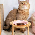 Gamelle surélevée Esprit Chat en céramique rose avec support en bois pour chat golden assis à côté