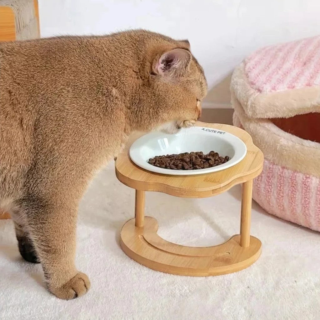 Chat mangeant dans une gamelle surélevée en céramique Esprit Chat avec support en bois naturel