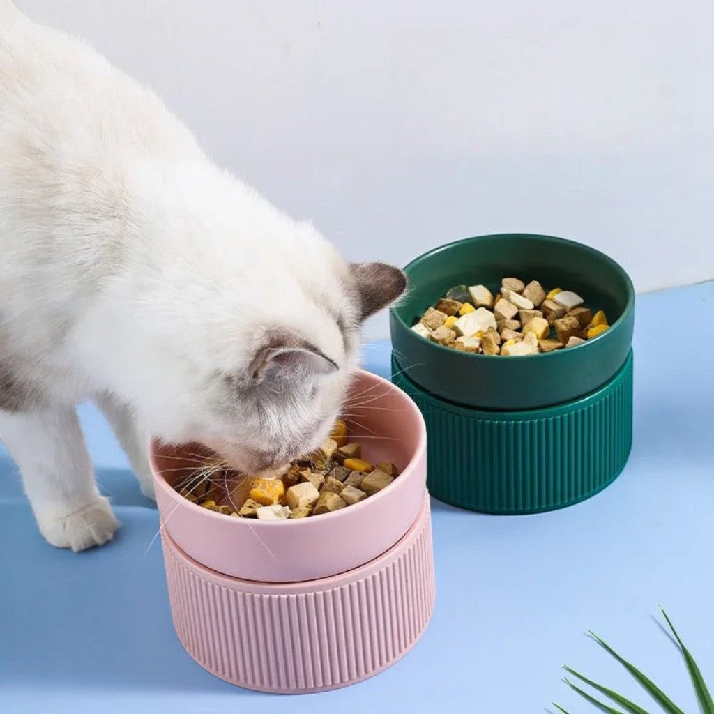 Gamelle Esprit Chat surélevée en céramique rose et verte pour chat mangeant des croquettes