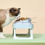 Gamelle surélevée Esprit Chat en acier inoxydable avec inclinaison de 15 degrés pour le confort d'un chat
