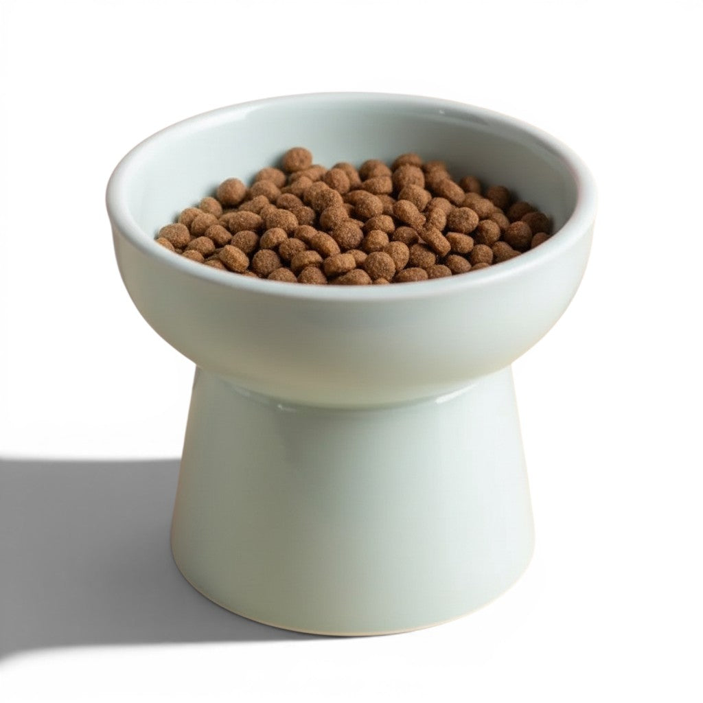 Gamelle surélevée pour chat Esprit Chat en céramique bleu clair remplie de croquettes sur fond beige