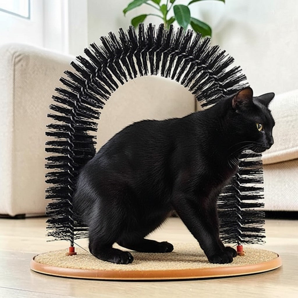Chat noir utilisant un gratte-dos Esprit Chat en forme d'arche avec brosses noires et base en tapis beige