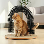 Chat roux passant sous un arche de brossage Esprit Chat noir pour le toilettage et le massage