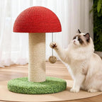 Chat Ragdoll jouant avec un griffoir champignon Esprit Chat en sisal rouge et beige sur une base verte texturée