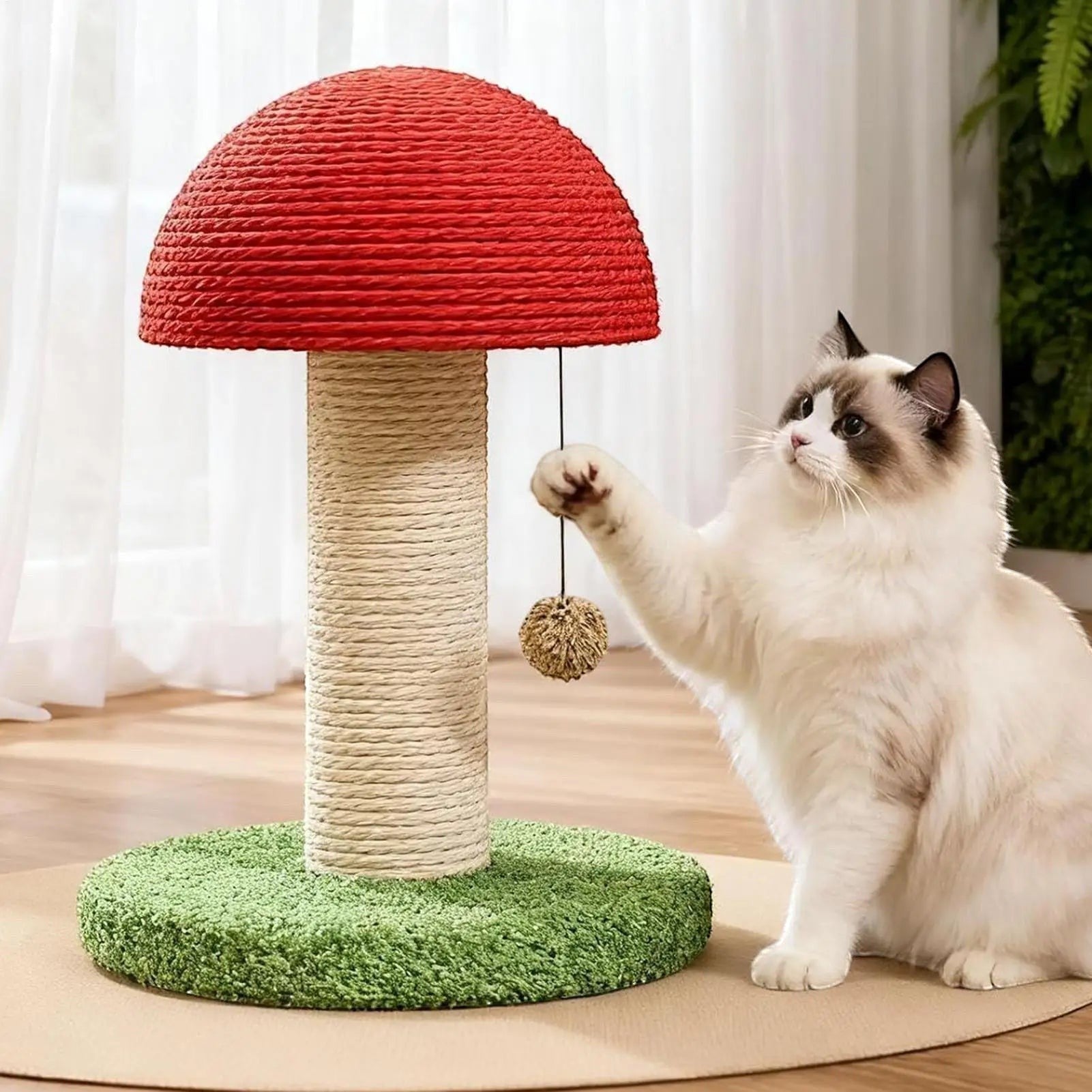 Chat Ragdoll jouant avec un griffoir champignon Esprit Chat en sisal rouge et beige sur une base verte texturée