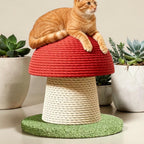 Griffoir Esprit Chat en forme de champignon avec corde en sisal rouge et beige, sur lequel repose un chat roux.
