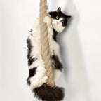 Chat noir et blanc suspendu à une corde à grimper en sisal naturel, jouet pour chat Esprit Chat