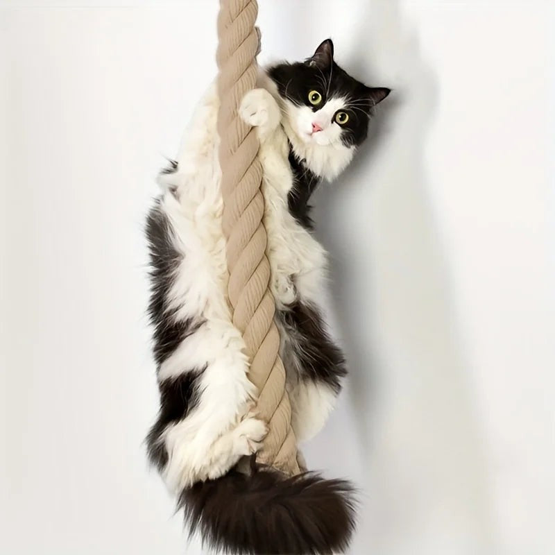 Chat noir et blanc suspendu à une corde à grimper en sisal naturel, jouet pour chat Esprit Chat