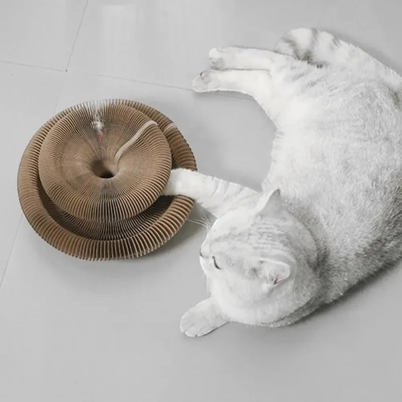 Griffoir Esprit Chat en carton ondulé marron en forme de spirale, avec un chat blanc allongé à côté.