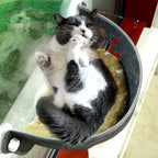 Chat gris et blanc se relaxant dans un hamac de balcon Esprit Chat en feutre gris avec coussin moelleux