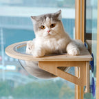 Chat assis dans un hamac Esprit Chat en bois avec une bulle transparente fixé à une fenêtre par des ventouses