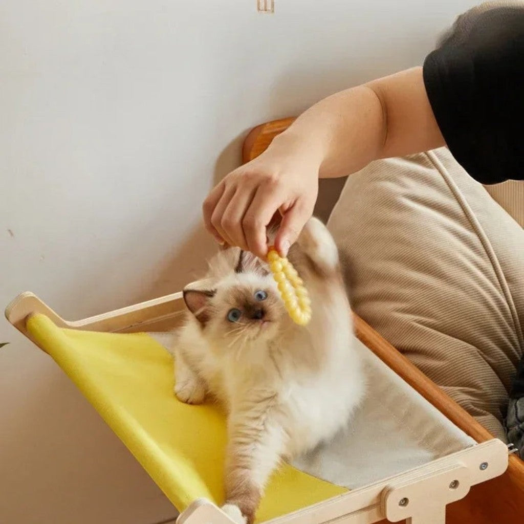 Chaton jouant sur un hamac en bois Esprit Chat avec tissu jaune et gris