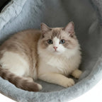 Esprit Chat hamac pour chat en fausse fourrure douce grise, design confortable et sécurisant pour bureau