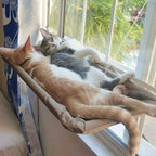 Deux chats dorment confortablement sur un hamac Esprit Chat fixé à une fenêtre avec des ventouses