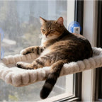 Chat tigré se reposant sur un hamac Esprit Chat en peluche beige fixé à une fenêtre par des ventouses robustes