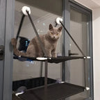 Hamac fenêtre double Esprit Chat en tissu Oxford noir respirant avec ventouses pour chat gris assis sur le niveau haut