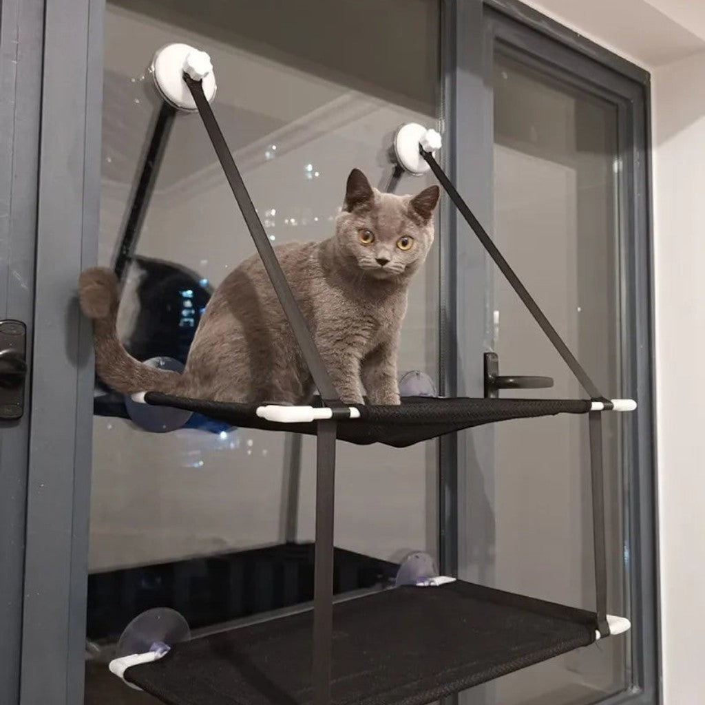 Hamac fenêtre double Esprit Chat en tissu Oxford noir respirant avec ventouses pour chat gris assis sur le niveau haut