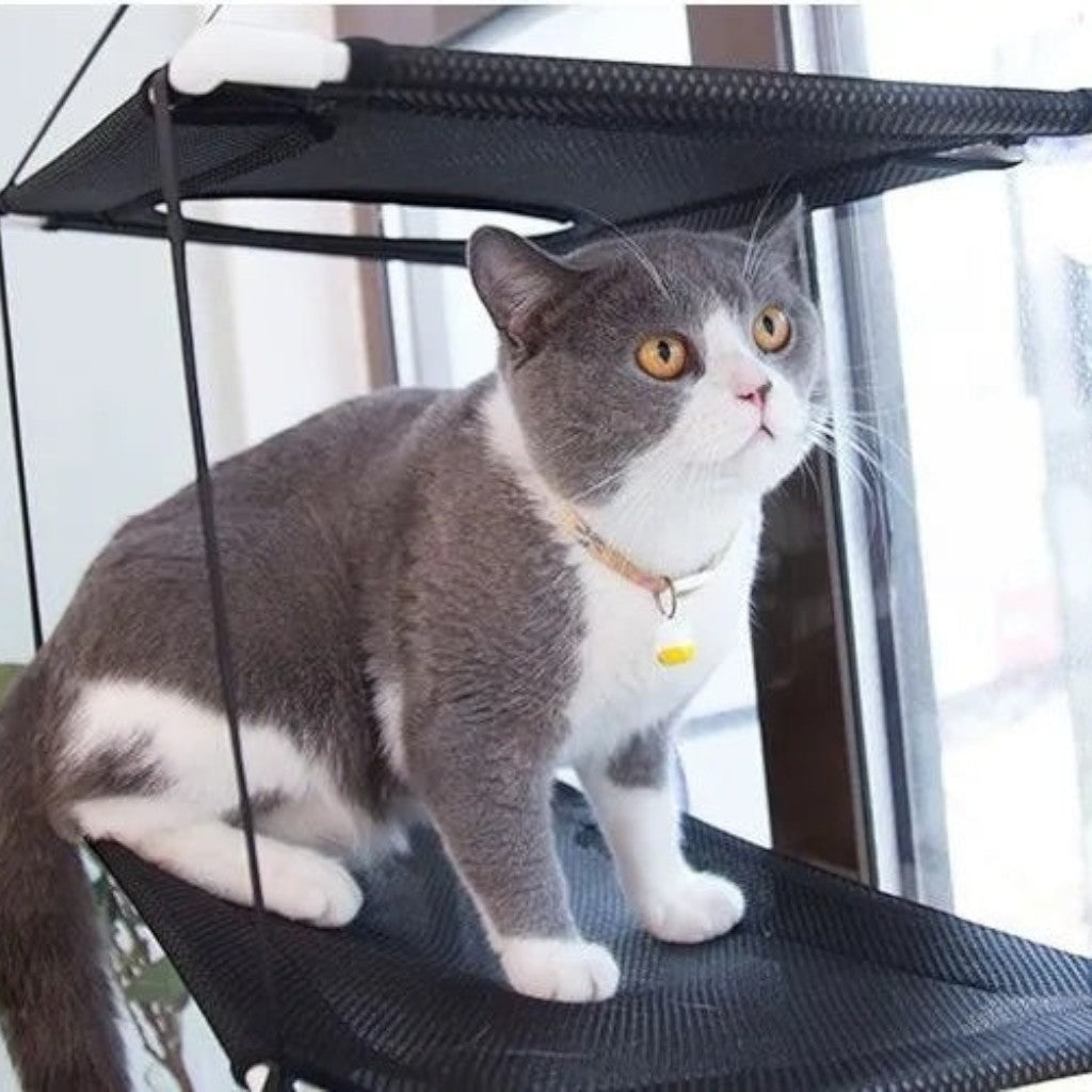 Hamac de fenêtre double Esprit Chat en maille noire respirante pour chat, fixé par ventouses sur une vitre.