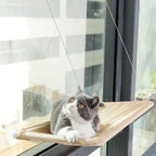 Chat gris et blanc allongé sur un hamac Esprit Chat fixé à une fenêtre par des ventouses
