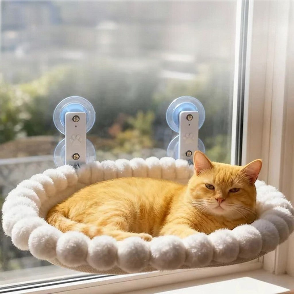 Chat roux couché dans un hamac Esprit Chat blanc fixé à une fenêtre par des ventouses robustes
