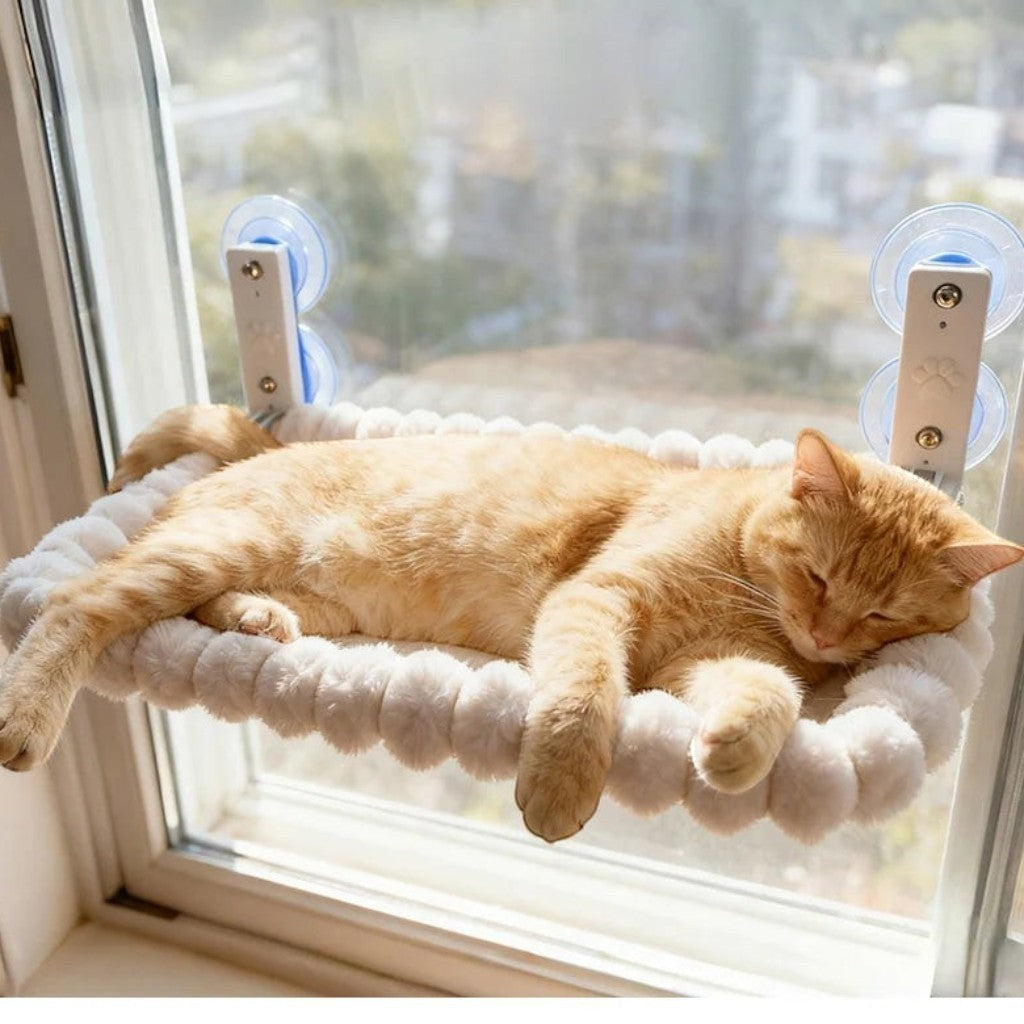 Hamac Esprit Chat pour fenêtre avec ventouses puissantes, chat roux dormant confortablement sur un perchoir en peluche