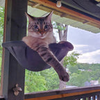 Chat tigré installé dans un hamac mural Esprit Chat pliable en maille respirante grise fixé sur un poteau en bois