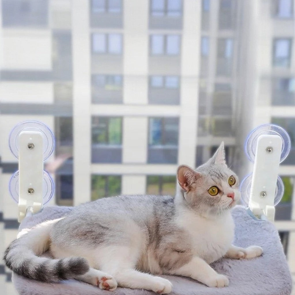 Chat gris et blanc allongé sur un hamac mural Esprit Chat respirant fixé à une fenêtre avec des ventouses