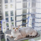 Chat gris allongé sur un hamac mural Esprit Chat respirant fixé à une fenêtre avec des ventouses