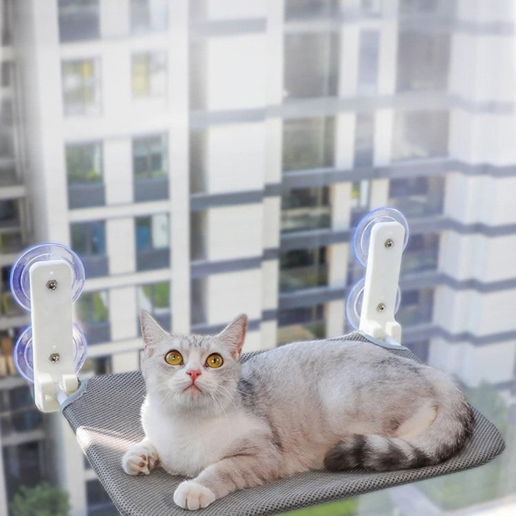 Chat gris allongé sur un hamac mural Esprit Chat respirant fixé à une fenêtre avec des ventouses