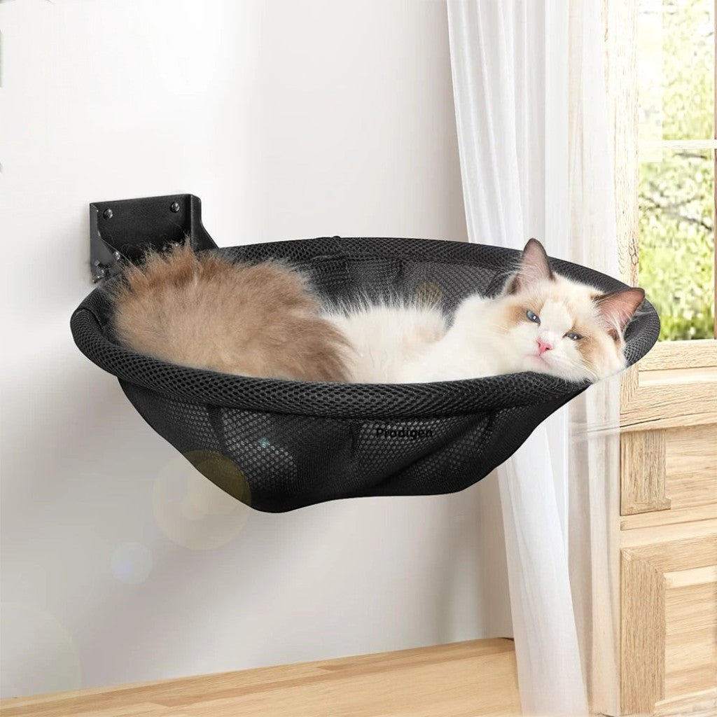 Hamac mural pour chat Esprit Chat en maille noire respirante, pliable et robuste, avec un chat Ragdoll installé dedans.