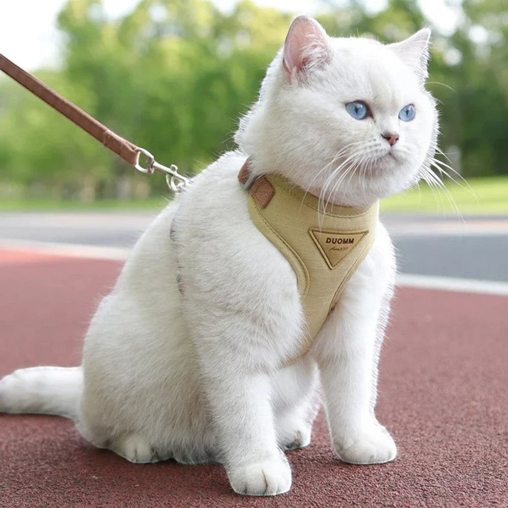 Harnais pour chat anti-évasion Esprit Chat en polyester beige avec laisse, pour promenades sécurisées.