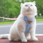 Harnais pour chat anti-évasion bleu ciel en polyester, avec laisse rose assortie. Marque Esprit Chat.