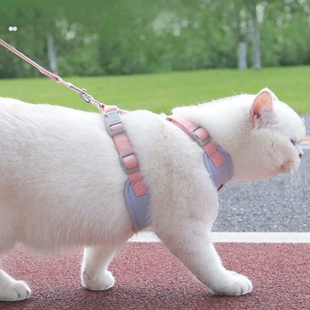 Harnais anti-évasion rose et gris pour chat en polyester, avec laisse, par Esprit Chat