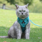 Harnais anti-fugue Esprit Chat bleu sarcelle, en polyester, avec boucle à libération rapide et détails réfléchissants.