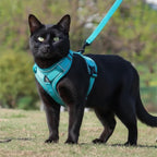 Harnais anti-fugue Esprit Chat bleu sarcelle pour chat, polyester, avec boucle et sangle réfléchissante.