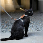 Chat noir portant un harnais en H Esprit Chat réglable avec laisse, en corde tressée et détails en cuir synthétique