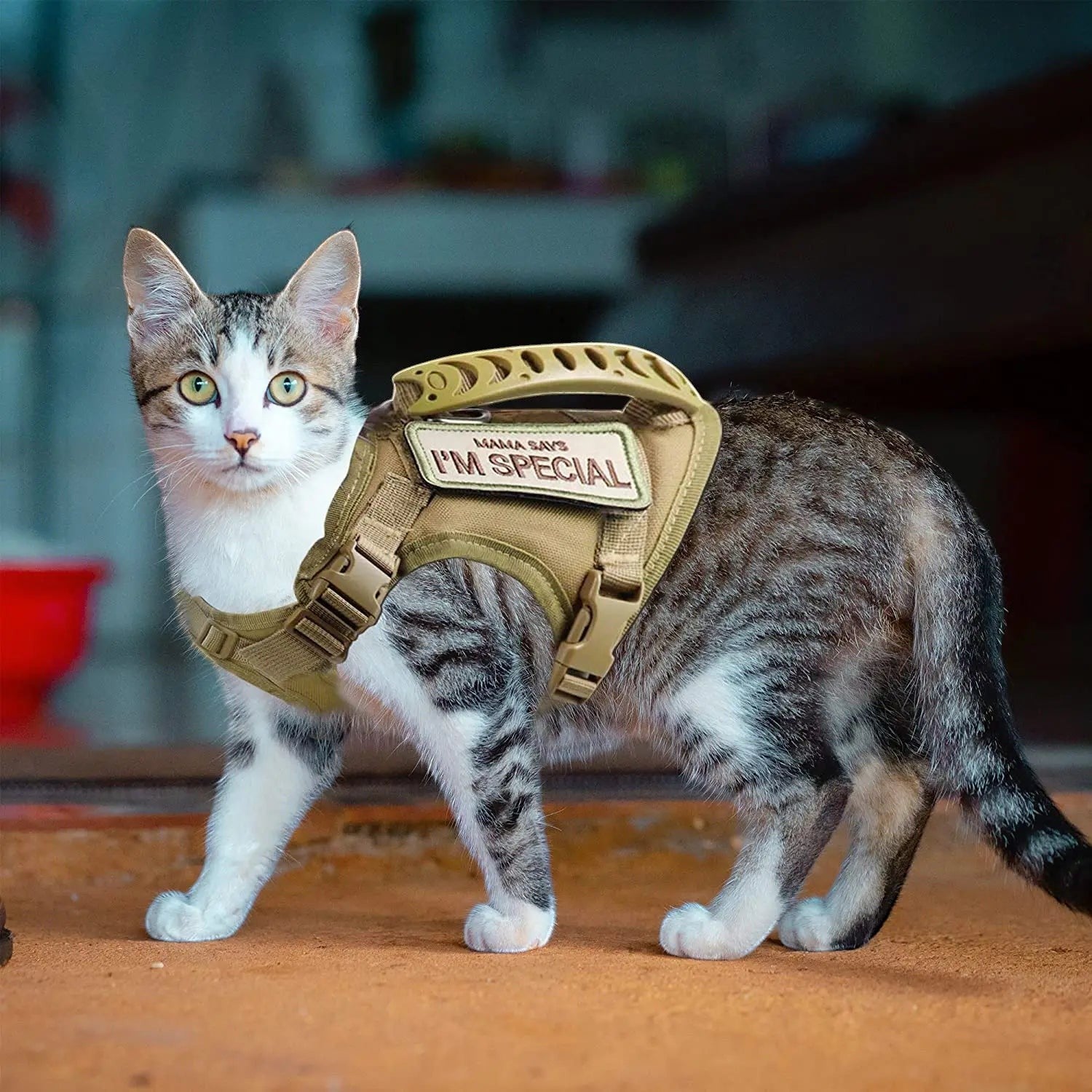 Harnais pour chat Esprit Chat en nylon beige avec poignée intégrée et patch "I'M SPECIAL". Réglable.