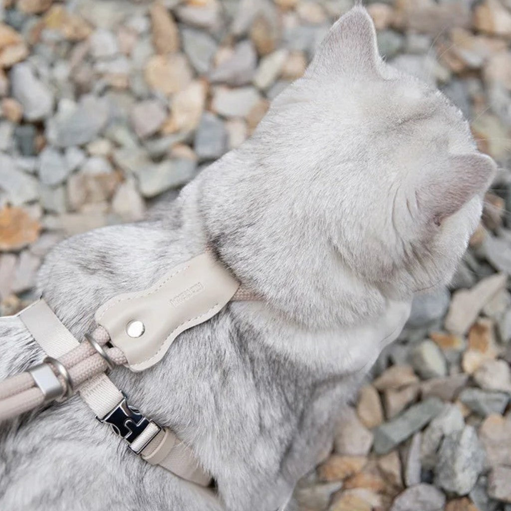 Harnais en H Esprit Chat beige pour chat avec laisse, en corde tressée et cuir PVC, vue de dos sur un chat gris