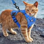 Chat roux portant un harnais Esprit Chat bleu réfléchissant en maille respirante avec laisse pour promenade en extérieur