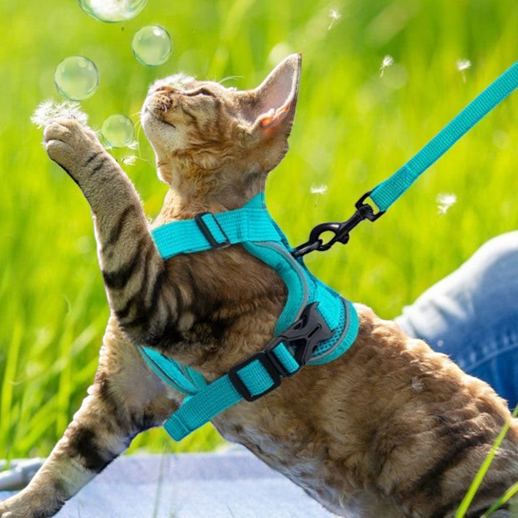 Harnais réfléchissant Esprit Chat bleu turquoise en maille respirante pour chat jouant avec des bulles dans l'herbe