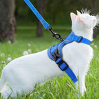 Chat blanc portant un harnais Esprit Chat bleu réfléchissant et respirant avec laisse en nylon dans un jardin