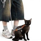 Harnais en H Esprit Chat pour chat, corde tressée grise et cuir PVC marron, anti-évasion avec laisse assortie
