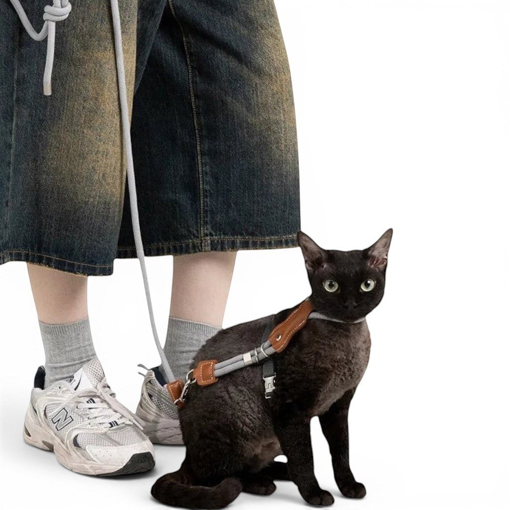 Harnais en H Esprit Chat pour chat, corde tressée grise et cuir PVC marron, anti-évasion avec laisse assortie