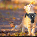 Harnais Esprit Chat gris réfléchissant en maille respirante porté par un chat roux jouant avec une feuille en extérieur
