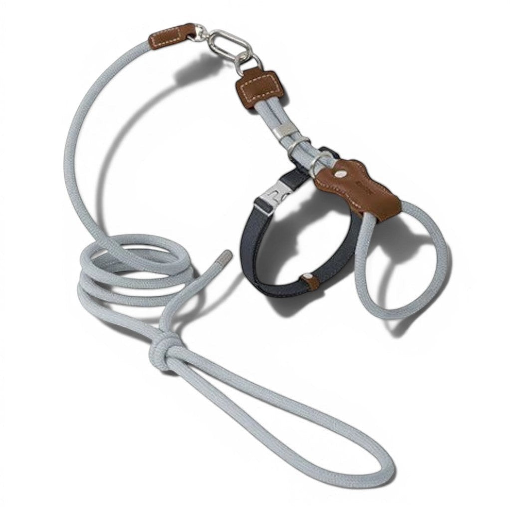 Harnais en H Esprit Chat gris sarrasin avec laisse, en corde tressée et cuir PVC, ajustable et anti-évasion.