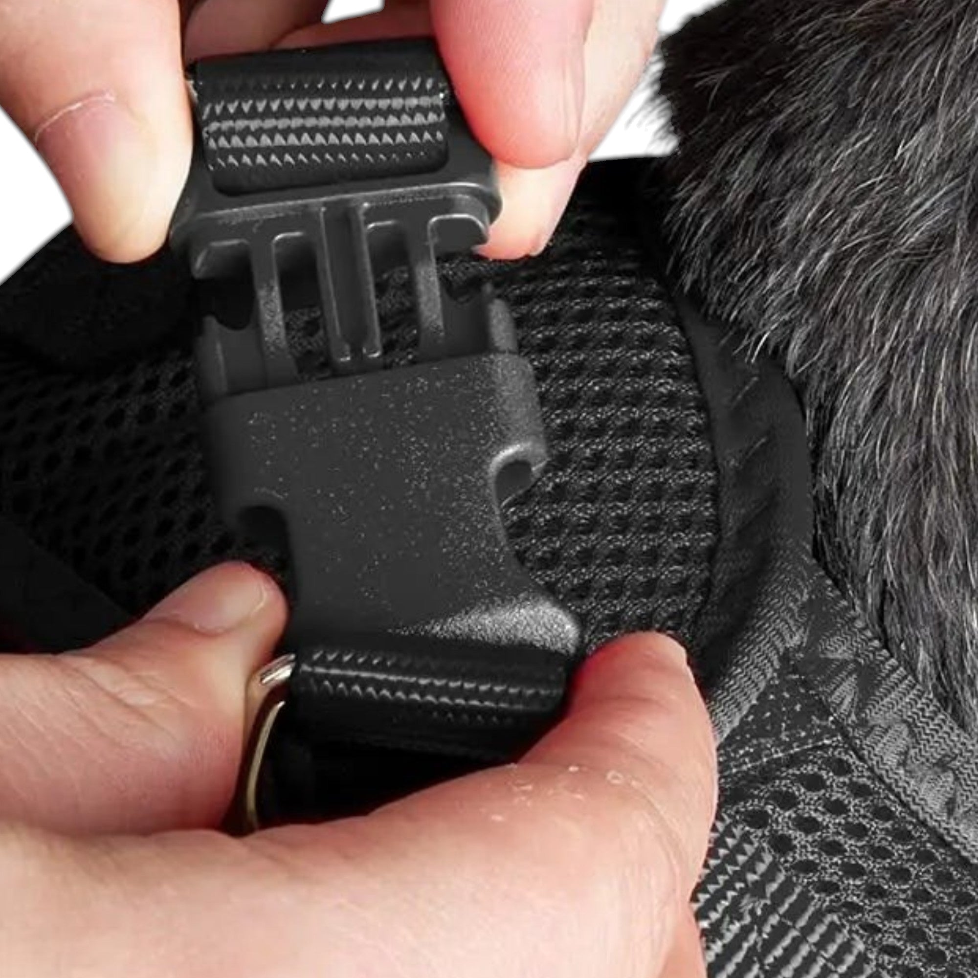 Instructions Esprit Chat pour mettre un harnais en maille rembourré, réfléchissant et réglable sur un chat