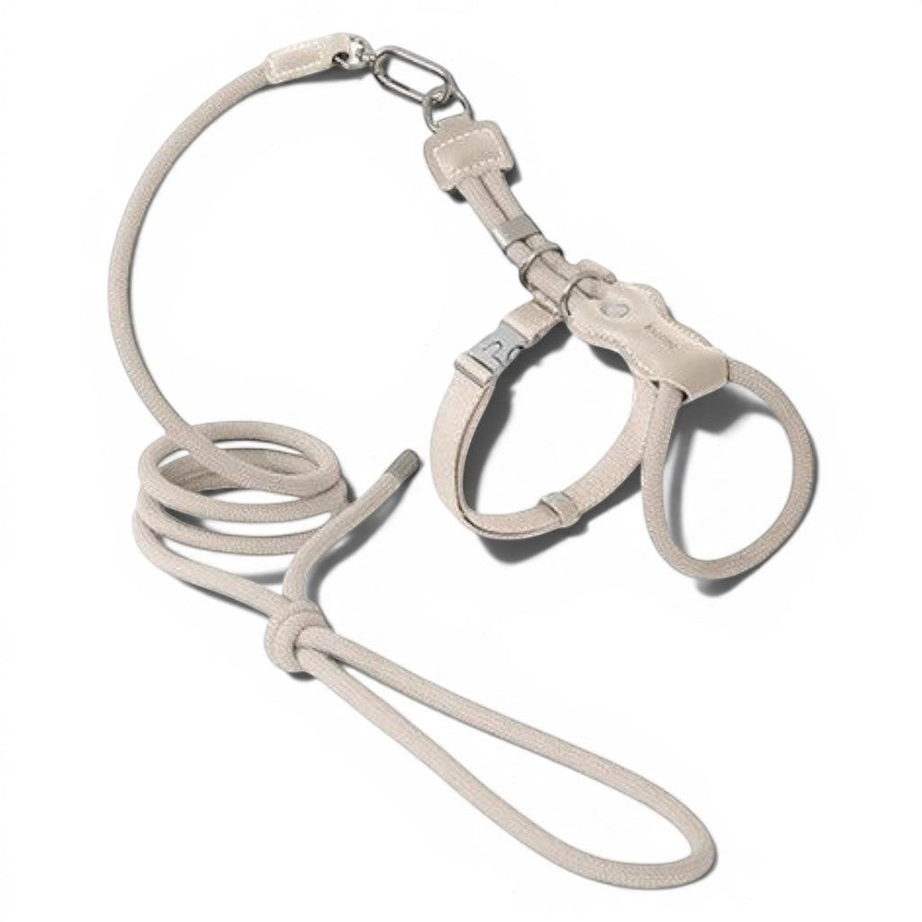 Harnais en H Esprit Chat couleur marron lait avec laisse assortie en corde ronde et détails en cuir PVC