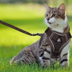 Harnais réfléchissant Esprit Chat marron en maille respirante pour chat avec laisse, idéal pour les promenades en plein air